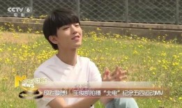 狗仔继续爆料王俊凯视频,王俊凯私密视频曝光，真相究竟如何？