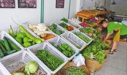 河北大城县卖衣服最新爆料