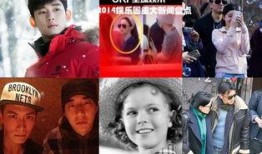 2014娱乐圈爆料,揭秘年度爆料的背后真相