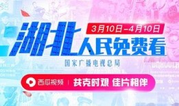 西瓜视频大爆料,揭秘热门视频背后的秘密与幕后故事