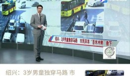 浙江新闻深一度新闻爆料,揭秘背后真相，探寻事件深层脉络