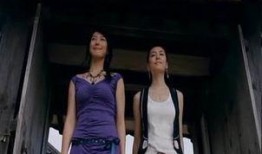 不良主妇在线观看,揭秘家庭生活背后的秘密