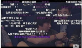 小漠深夜爆料视频,揭秘娱乐圈不为人知的幕后故事