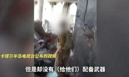 视频爆料人被抓怎么办,视频爆料人被捕事件引发社会关注