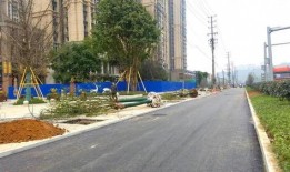 南充春江路最新爆料,最新爆料揭秘未来繁华景象