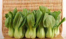 青菜爆料视频大全下载安装,揭秘幕后故事，带你领略精彩瞬间