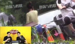 记者爆料张颖颖视频,记者爆料背后的真相与争议